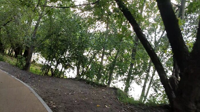 Никогда ранее не ездил по этой дороге...