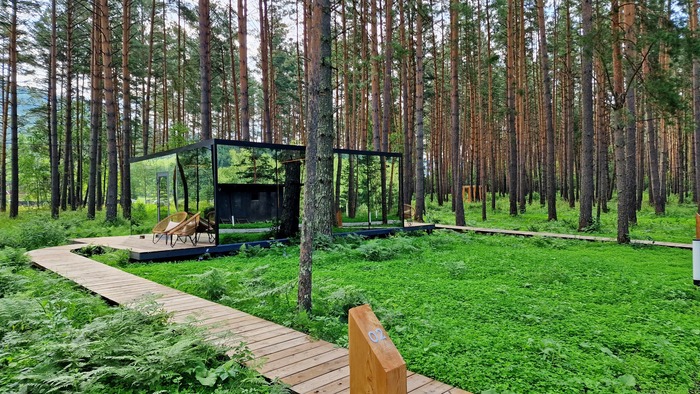 Pinewood - ������� ���� ��� ����� ������� ������� �������� � �������.