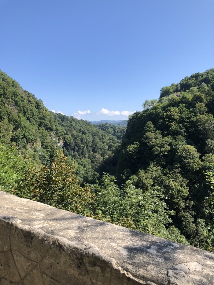 Первый серьезный вид:)