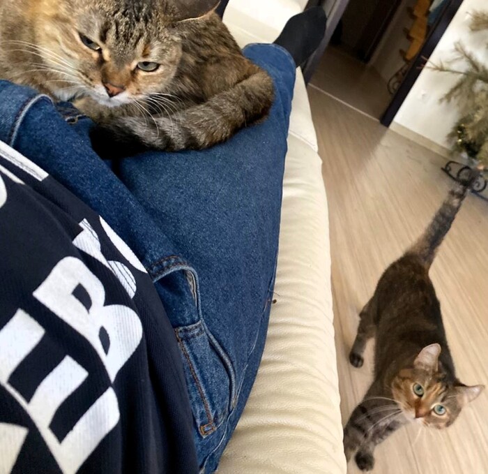 Проходите дальше, место занято!