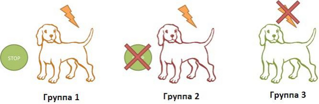 НЕ выученная беспомощность