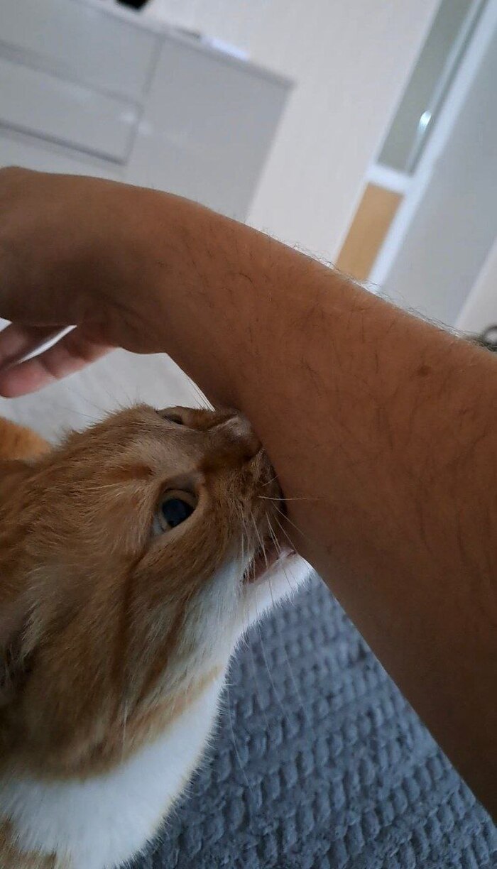 Просто кусь