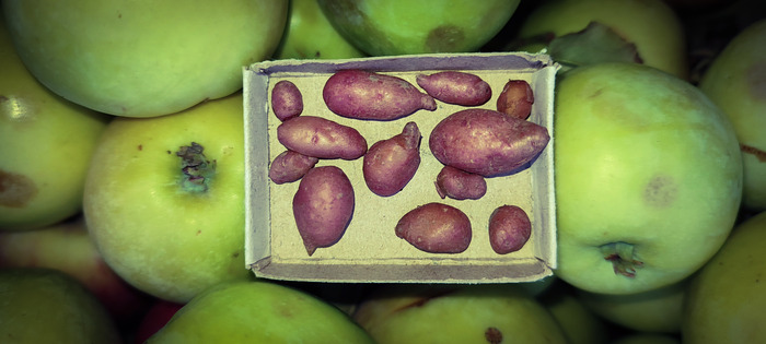 Маленькость.Картошечка)