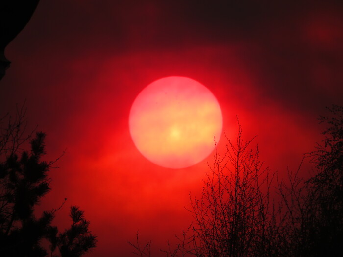 �� ������ ���������� ��� ������� �����������.