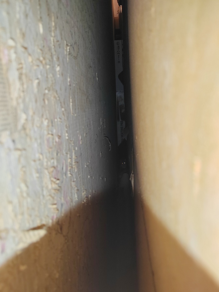 Что делать со старым котом?