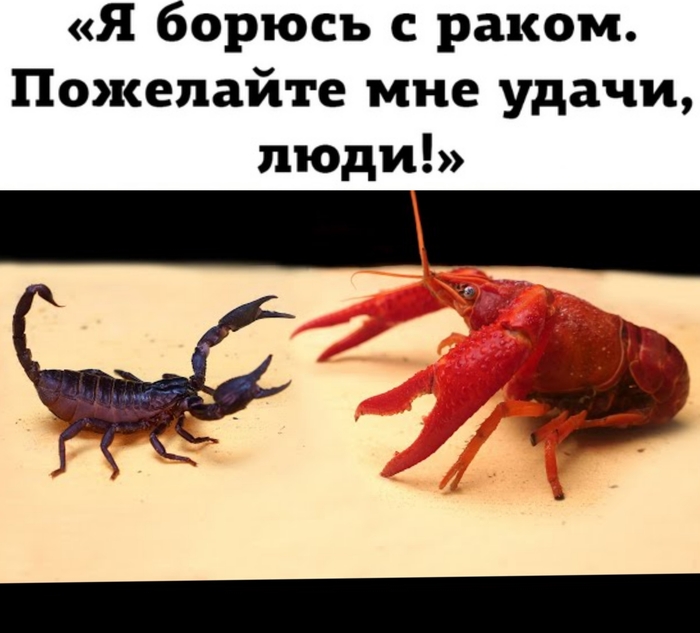 А вы кто по гороскопу?