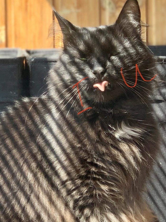 ��������� ������ ������