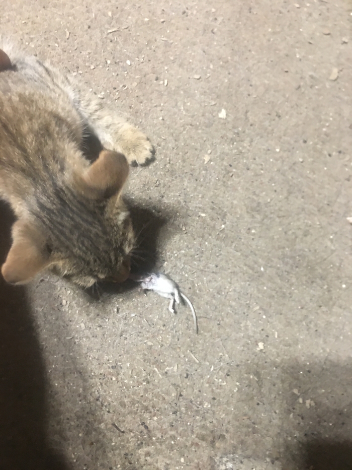 Ну, с почином нас…