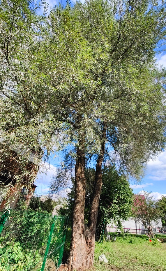    , ,  , 