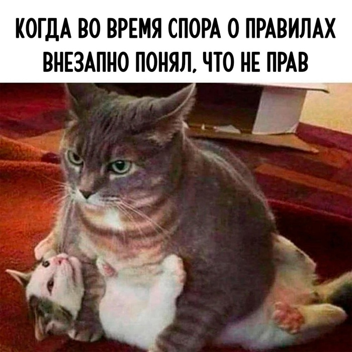 Зря быканул