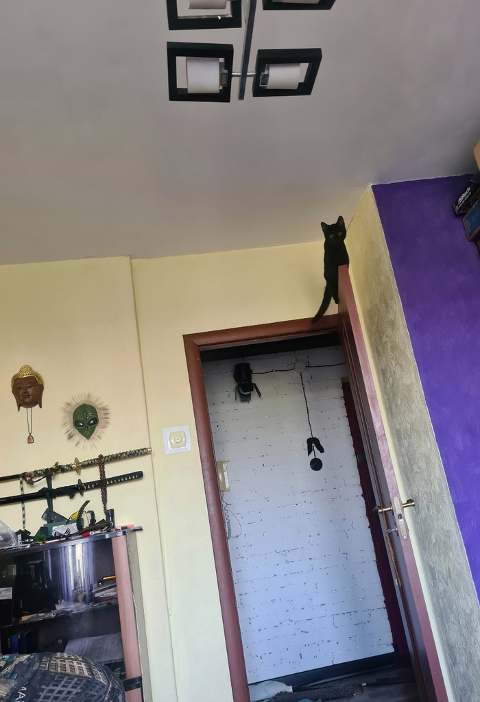 ,        , , , ,  , , ,  