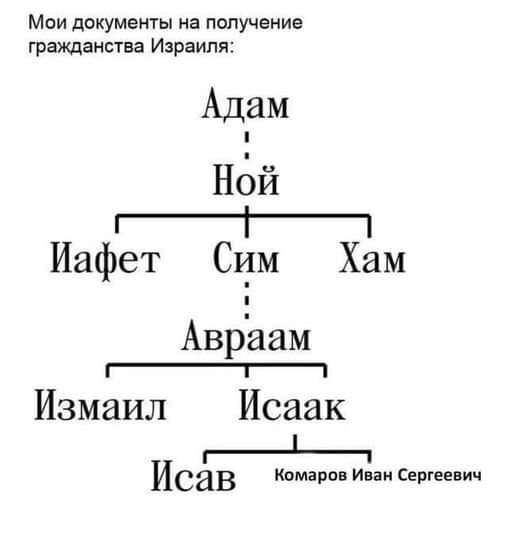 Смешнявки или кладовая баянов | Пикабу