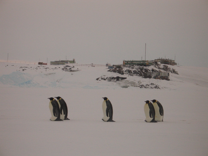 Зима, Антарктида, Мирный