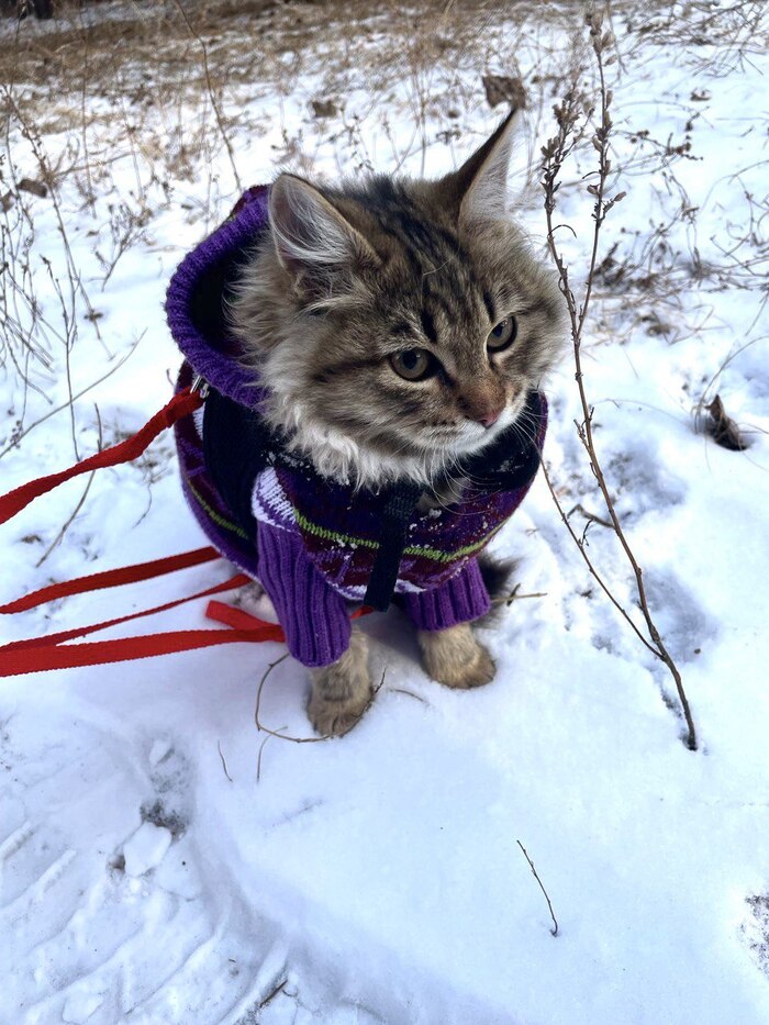 ������. ��� �� ��������, � ���� ���� ������� � �����))