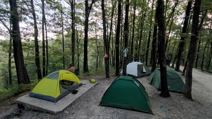 Фото по утру.