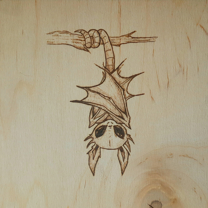 ������ ����� �� ������� � ������� ������ ������.