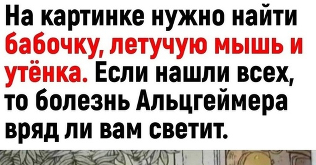 Найти бабочку утку и летучую мышь на картинке