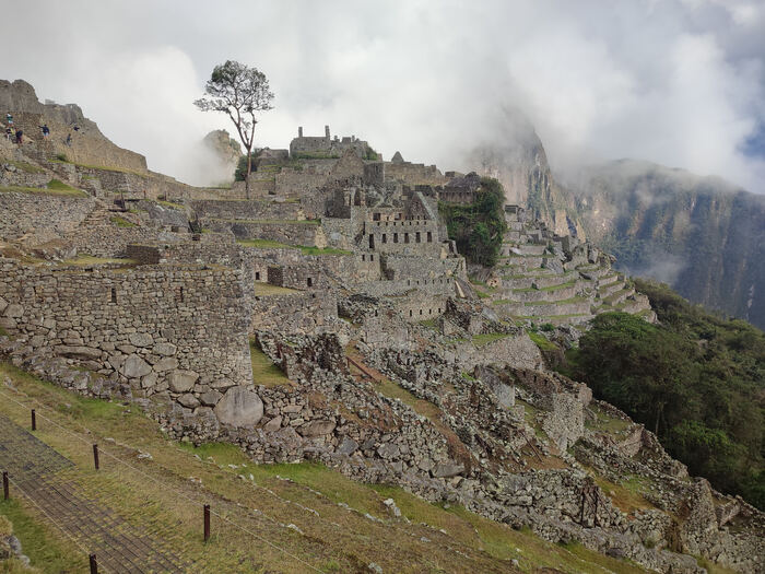 Агуас-Кальентес - волшебный город, куда нет дорог, и где живут гигантские бабочки Перу, Мачу-пикчу, Южная Америка, Латинская Америка, Лама, Длиннопост, Фотография