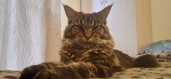 �������