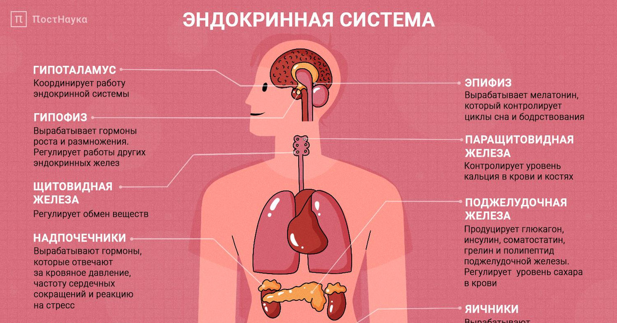 Дико возбуждающие слова мужчине, которые он мечтает услышать