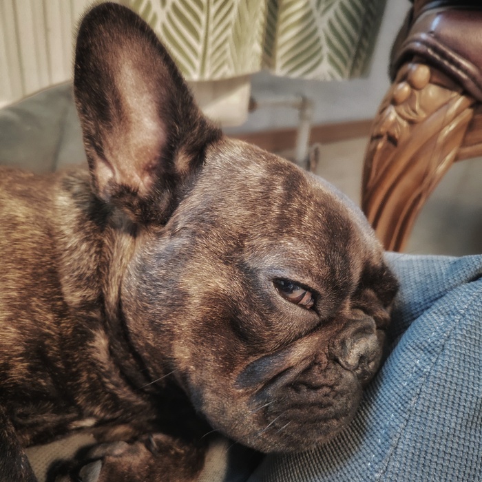 Было бы неплохо если бы мне не мешали спать