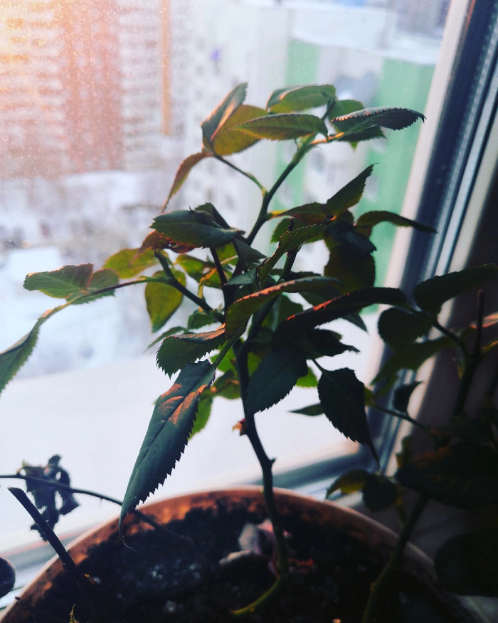 �������