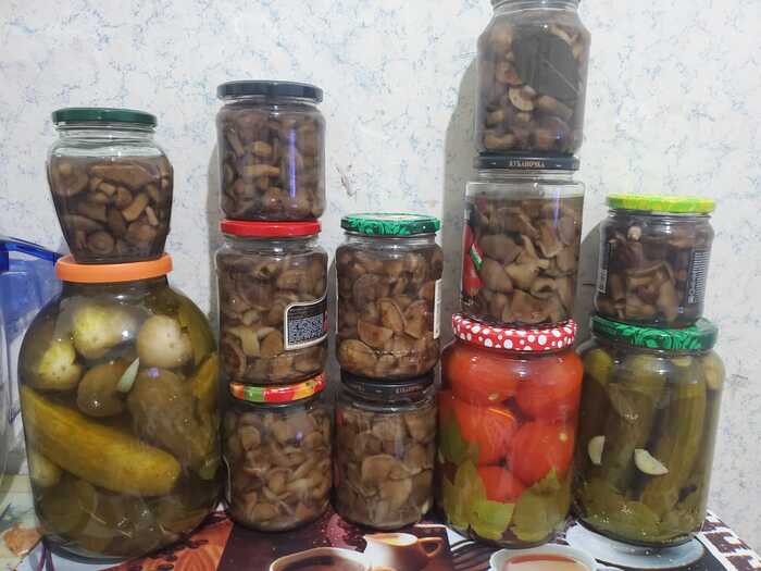 Решила попробовать себя в этом деле) если не жалко, пишите свои рецепты)