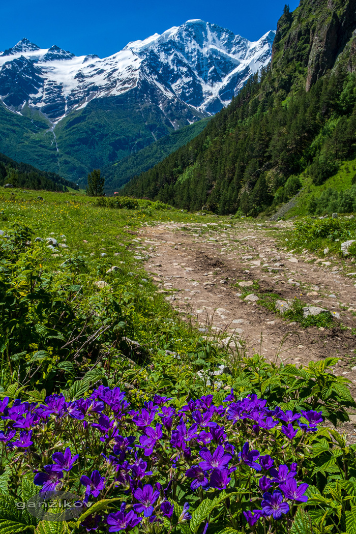 ��� �� �������� - �� �����