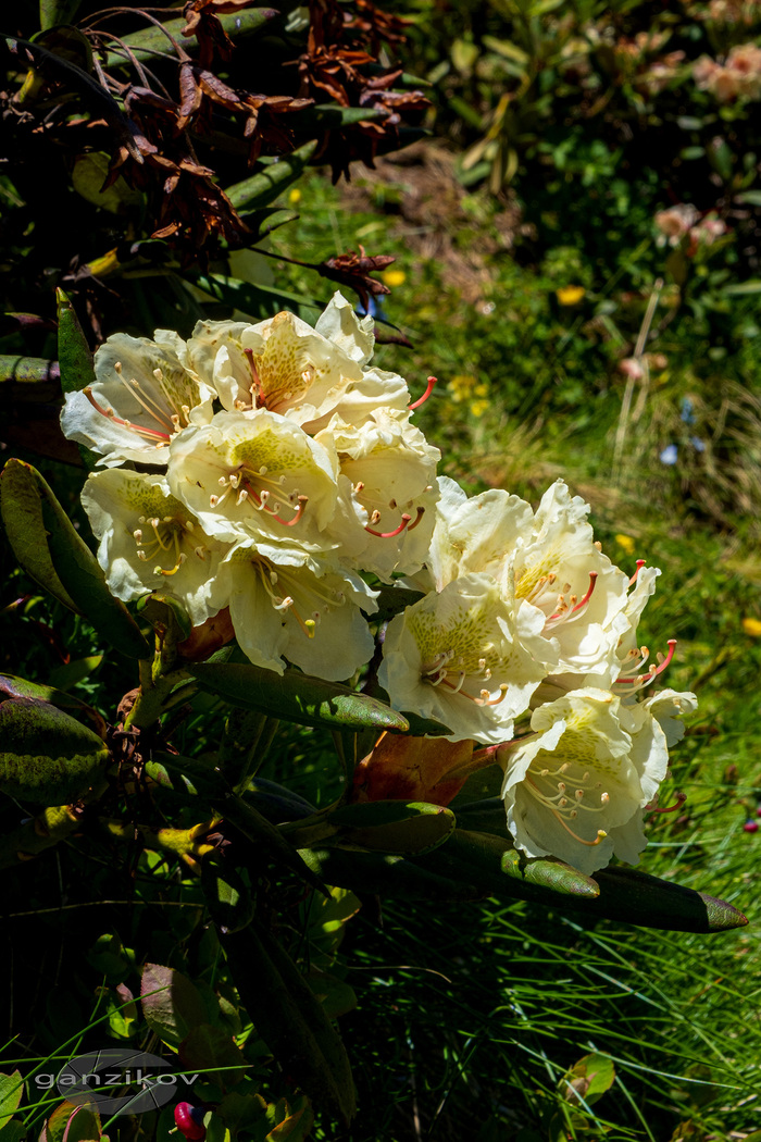 �����������