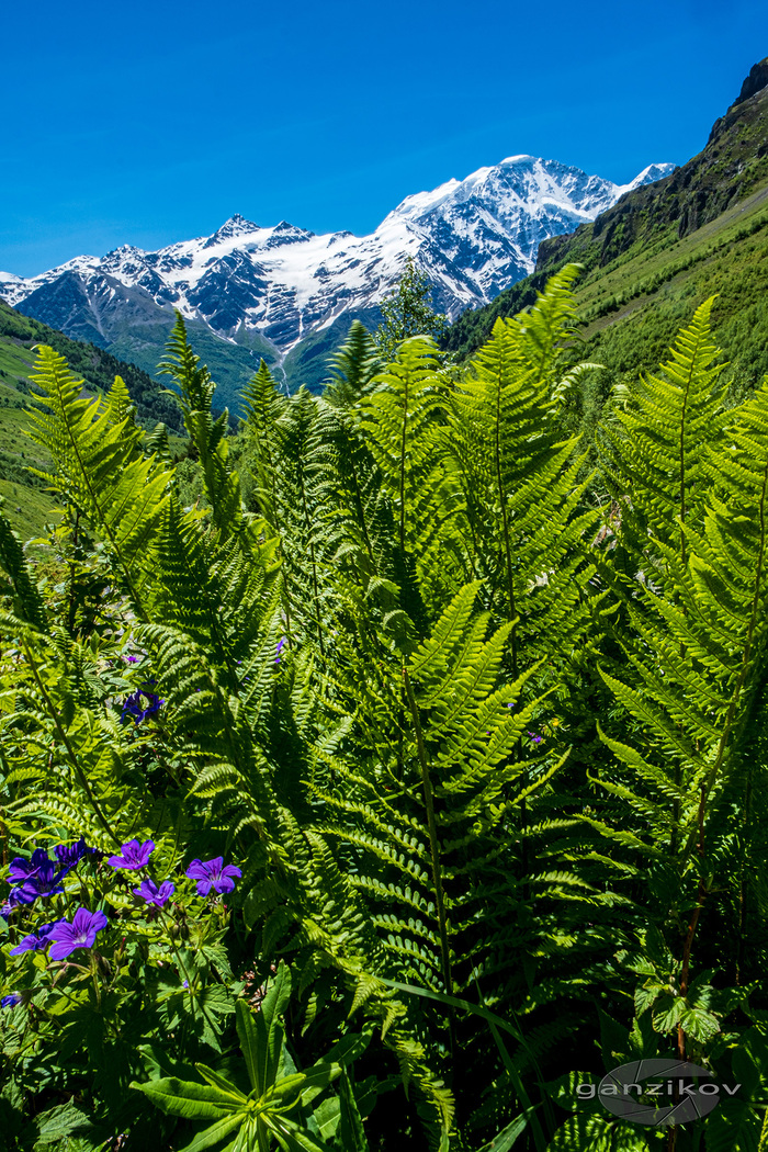 ����������