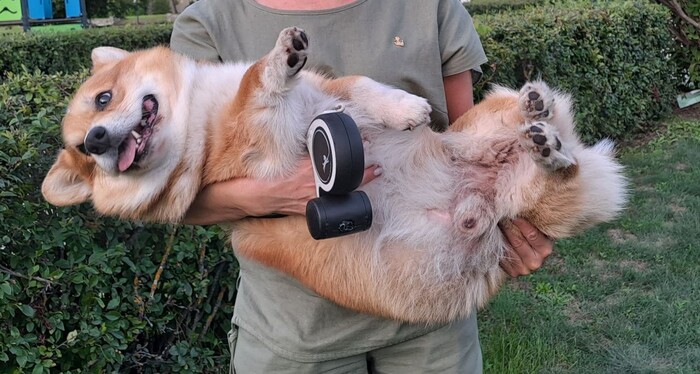 ����� ����� ����� �����