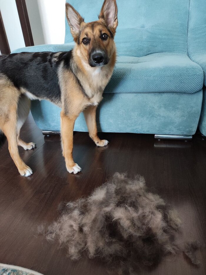 ����� ���� ������ ������� �� ����.