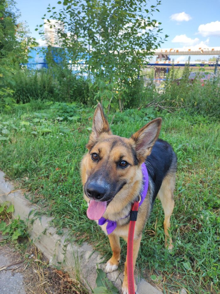 ���� �������� ���� � ��������