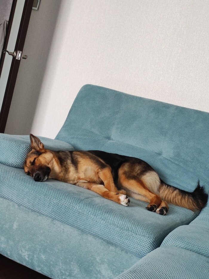 "������� � ����"