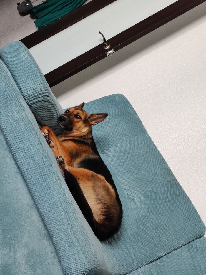 ������ ����, �������, �� ����� �����.