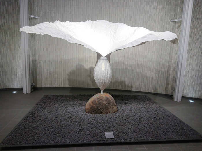 ����������� � ��������.