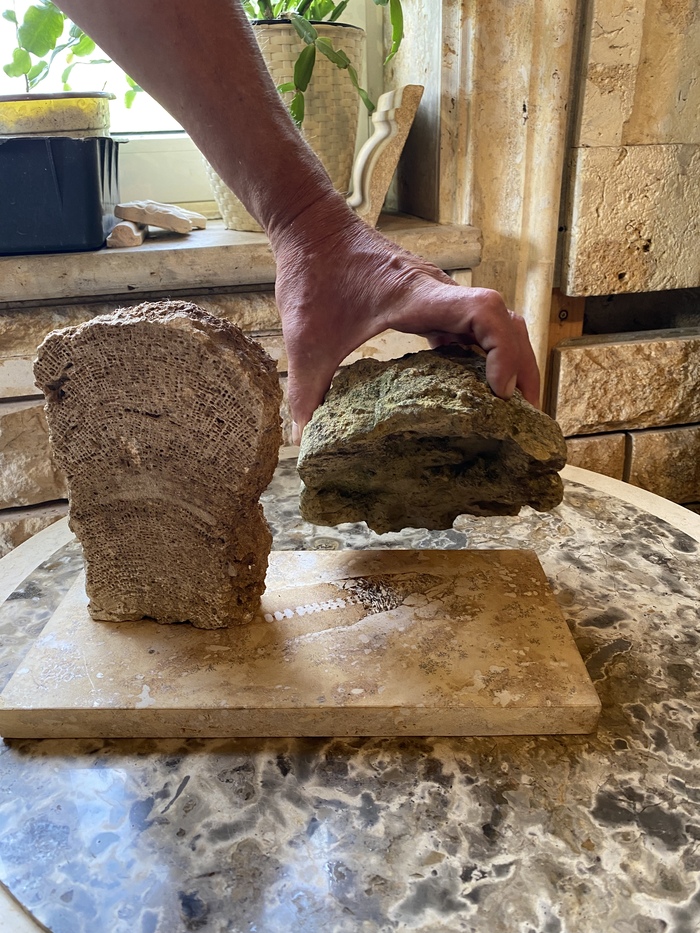 ������ ��������