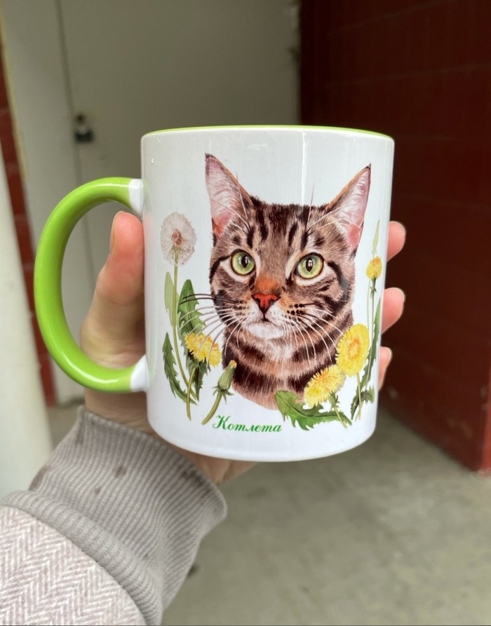 Милые кружечки с котиками приюта | Пикабу