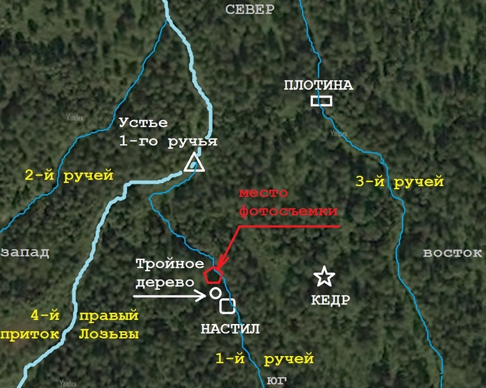 ������� 5  ����� ��������� ����������