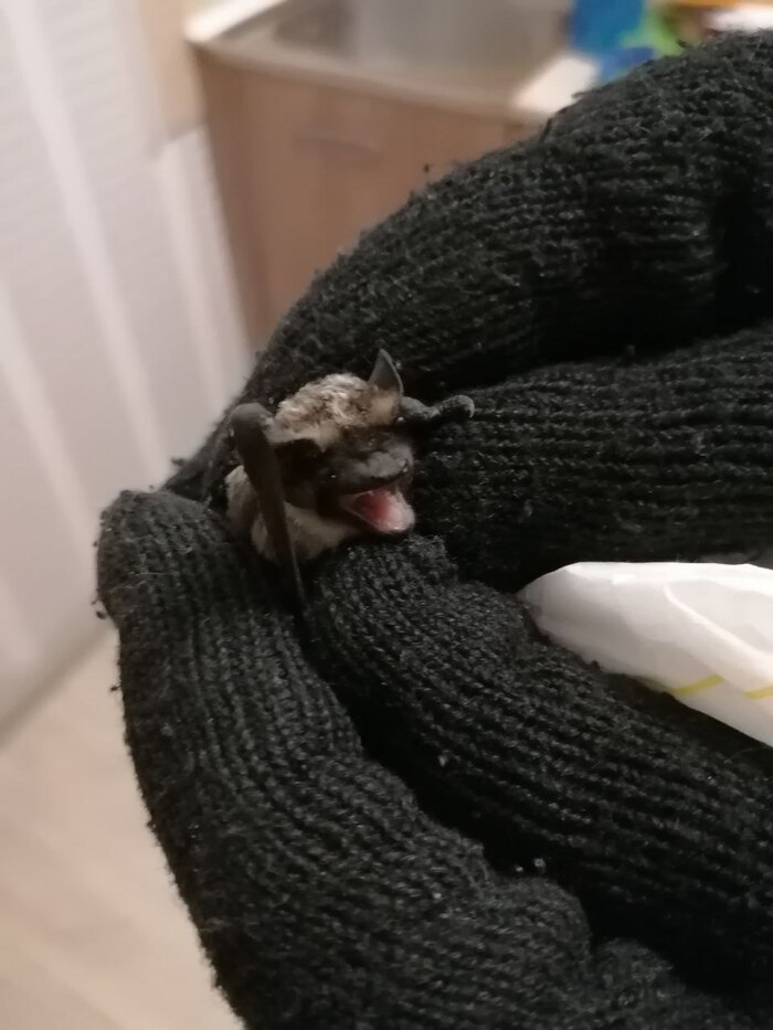 ���� ���� �����