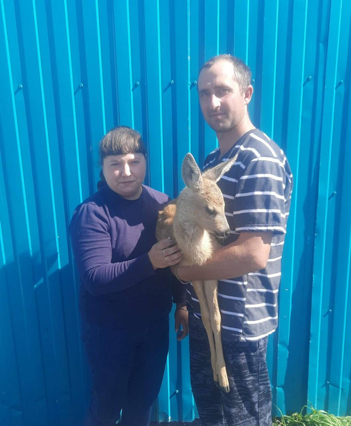 Пока малыш живёт у своих спасителей, но в дальнейшем ему, возможно придётся искать новый дом