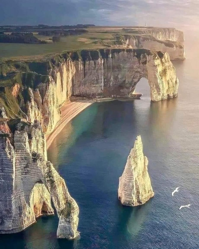 ,  , , , 