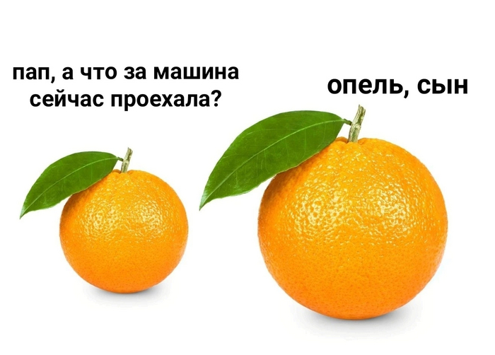 ��� �� ���