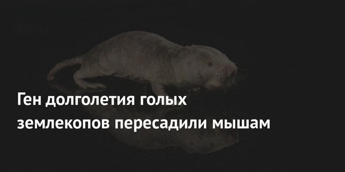 Ученые достигают инновационных открытий