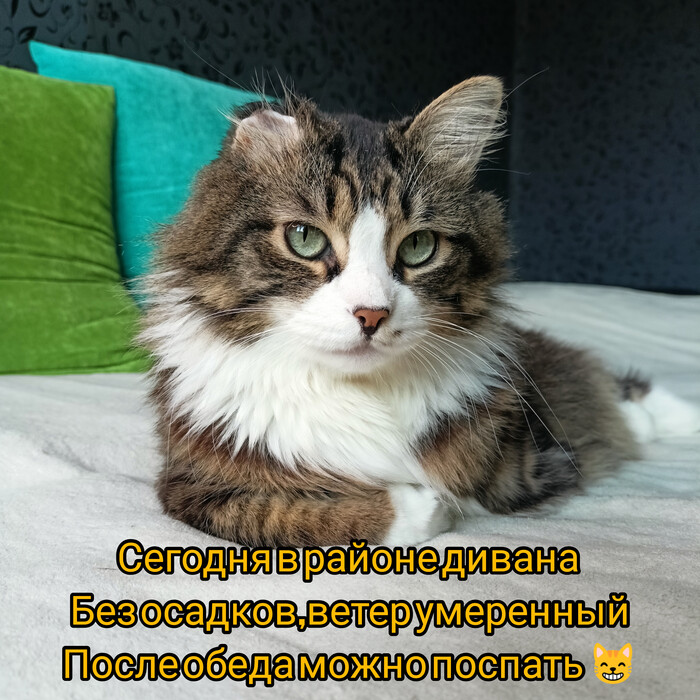 Прогноз погоды дома