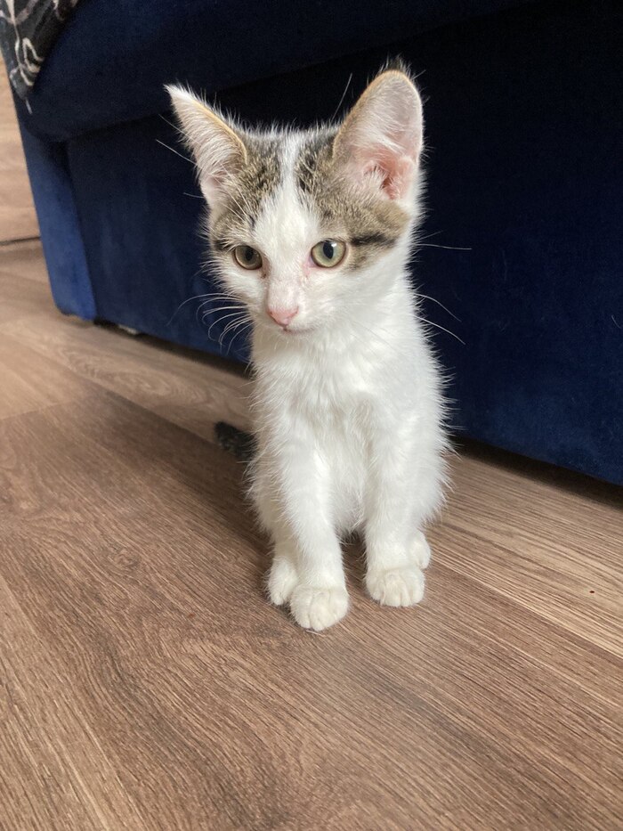 Мальчик, лидер банды, защитник, терпеливый и умный, тоже ласкуша