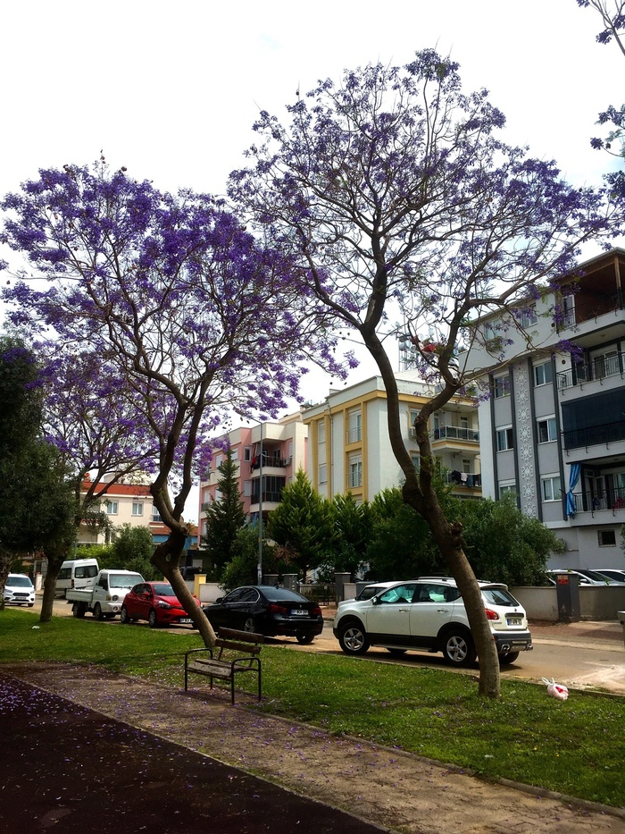 �����. ���.