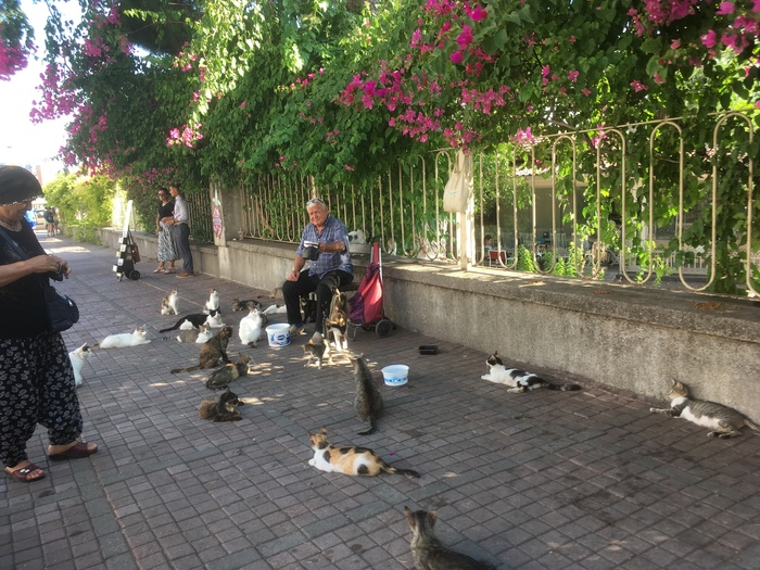 �����-������.