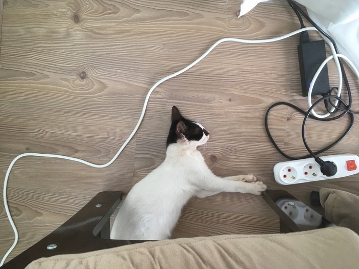 �����. �� ����� � ���� ����� �� ����. �� ��� ������� � ����� ��������.