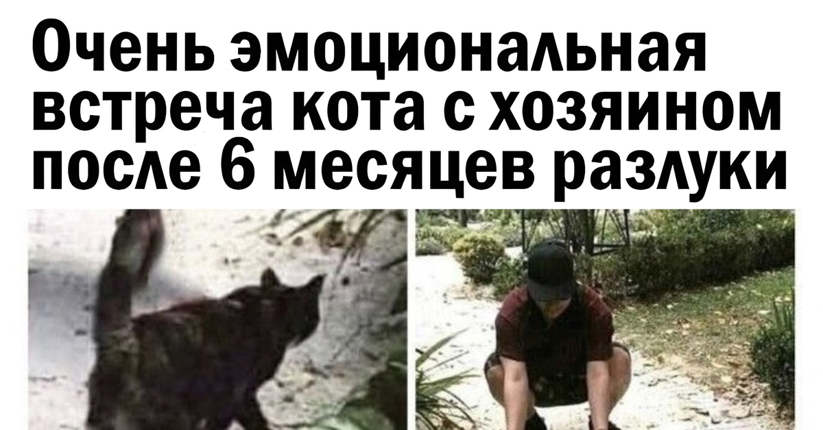 Трогательное фото | Пикабу